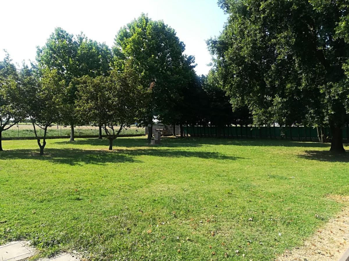 B&B Tenuta Madiba Ravenna Buitenkant foto